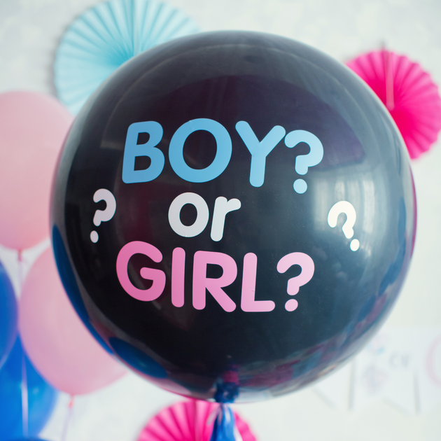 Prince Princess Baby Blue Pink Gender Reveal Party Kit