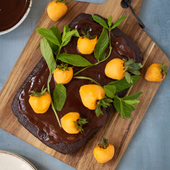 Chocolate Pumpkin Patch Brownie Cake