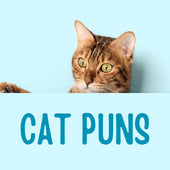 Cat Puns