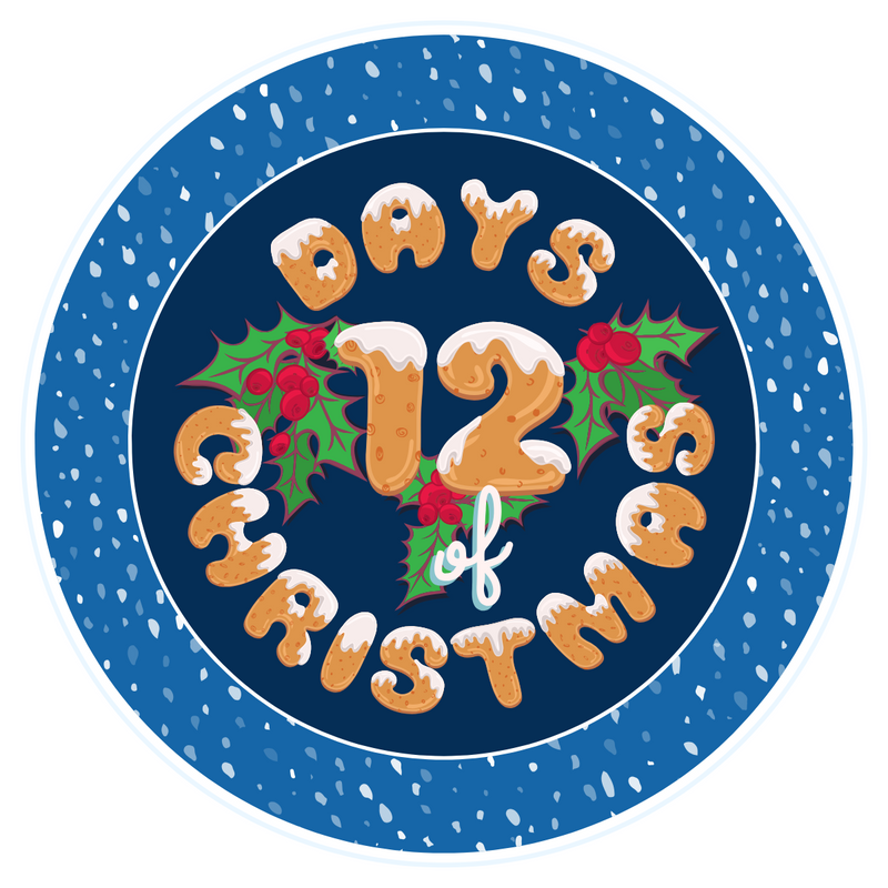 12 Days of Christmas Gift Ideas