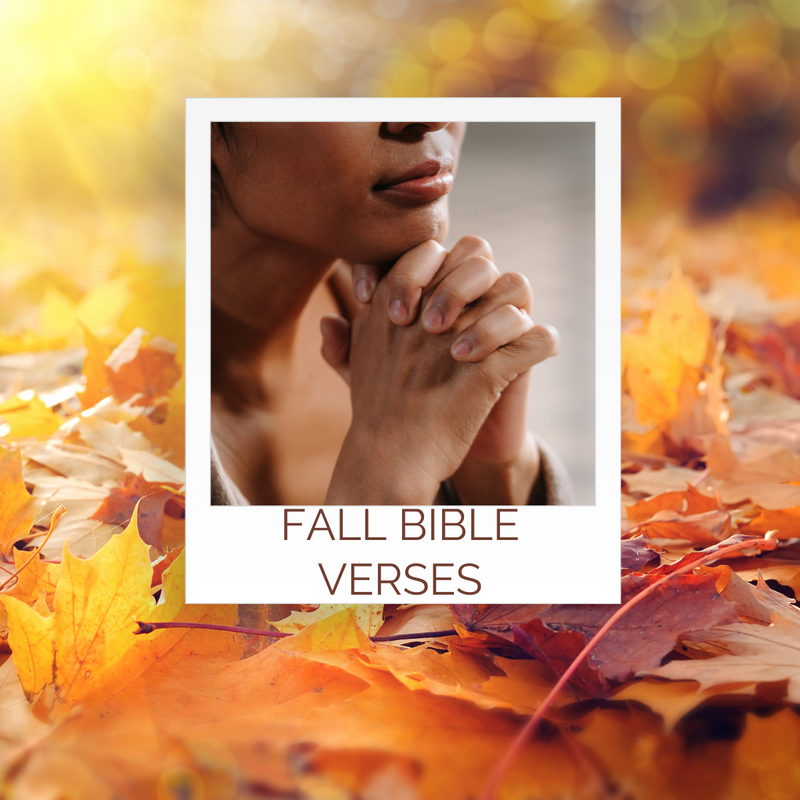 Scriptures Regarding Fall Fall Bible Verses | LittleHaloJ