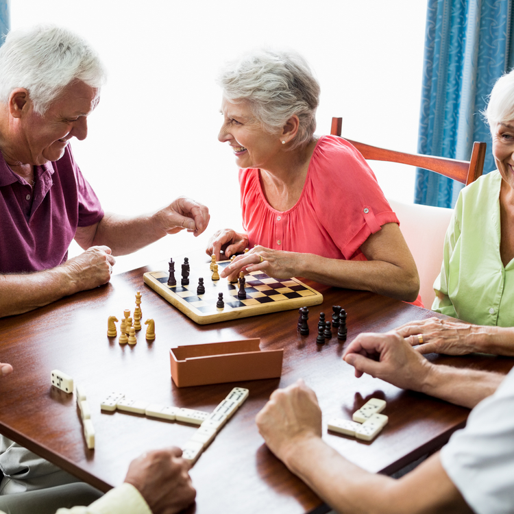 Memory Games For Seniors – LittleHaloJ