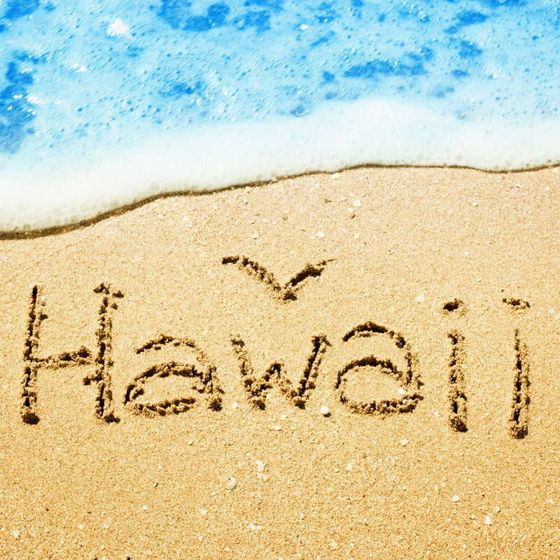 Oahu Activities For Families LittleHaloJ oahu-activities-for-families-littlehaloj