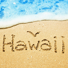 Oahu Activities for Families