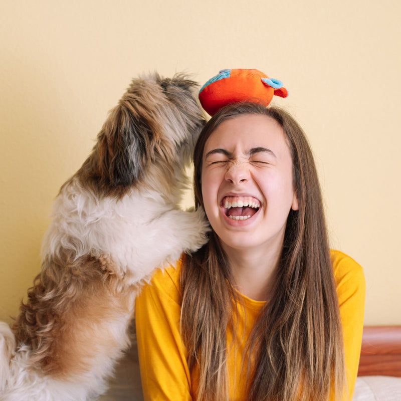 Teenager with pet dog