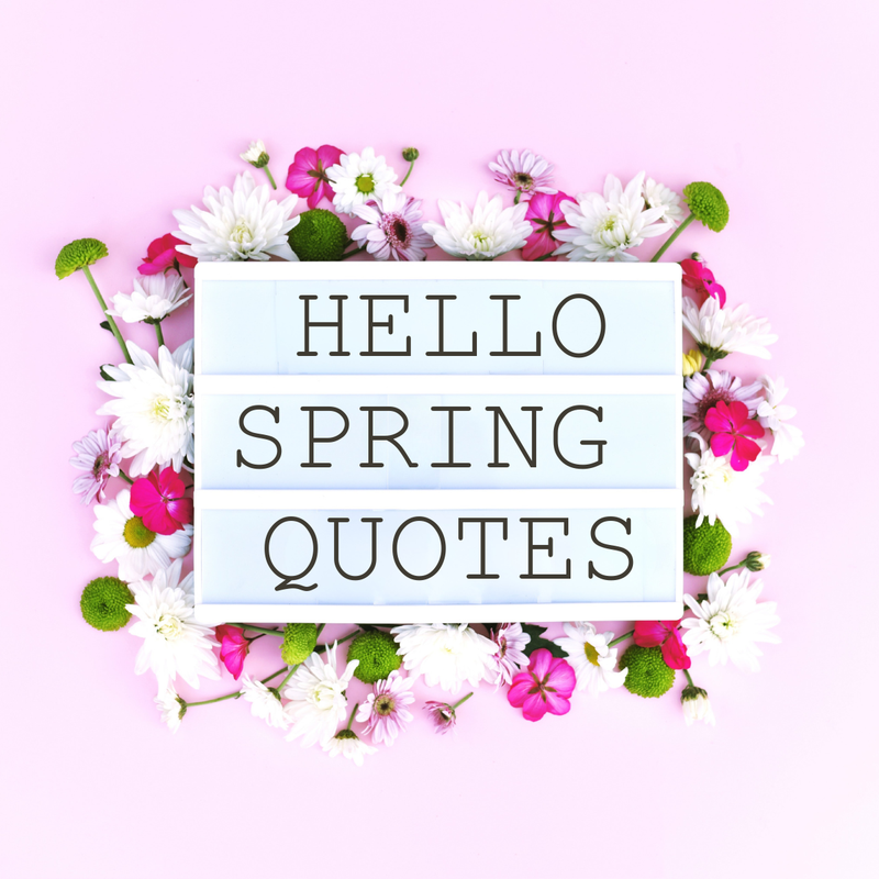 Daily Quotes Spring Happy Spring Quotes | LittleHaloJ