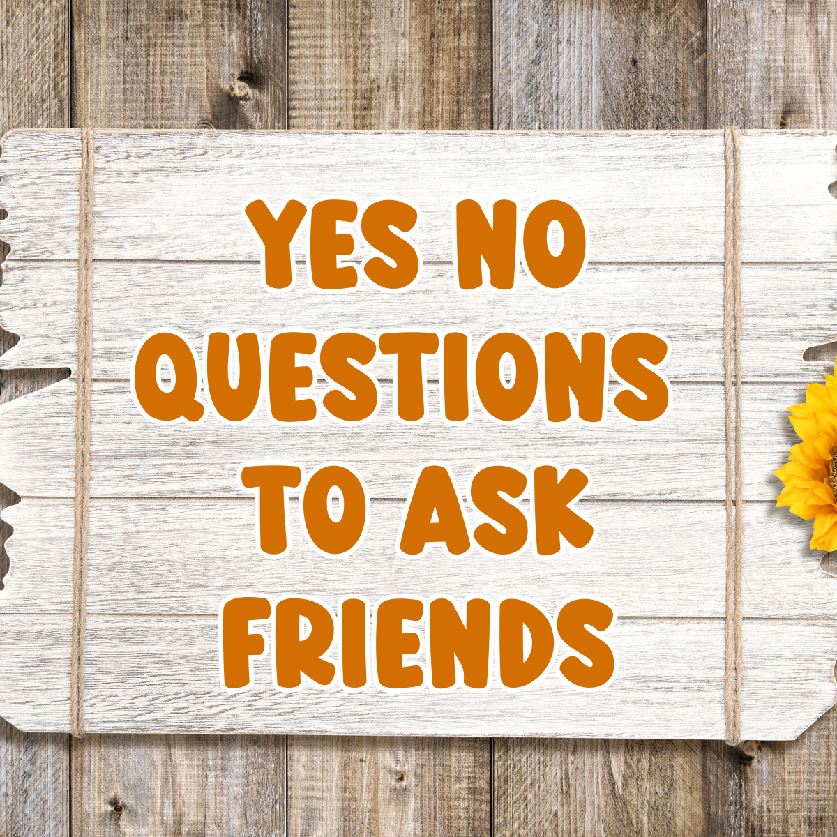 Fun Yes No Questions to Ask Your Friends | LittleHaloJ