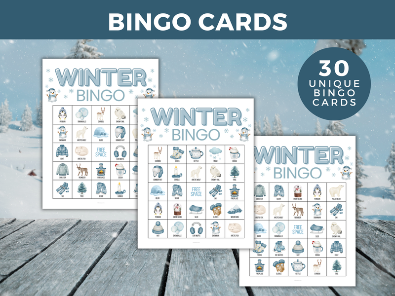 Winter Bingo Game 30 Cards