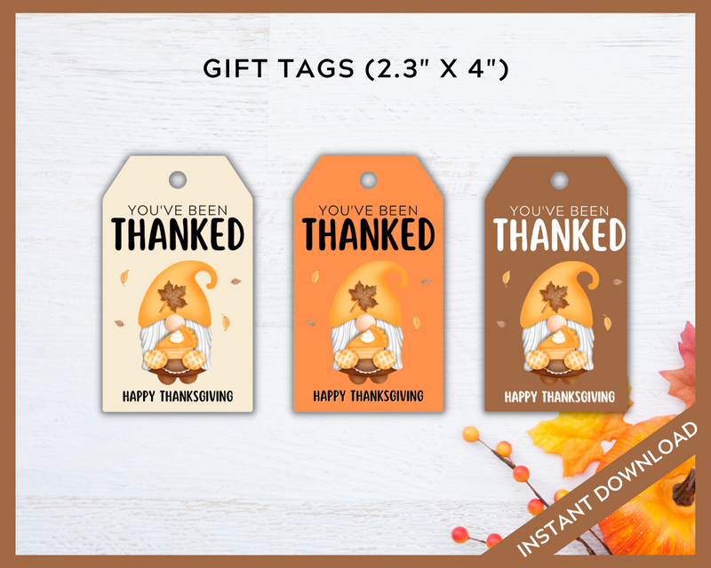 You've been thanked thanksgiving gift tag